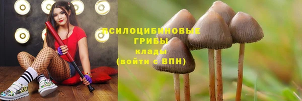 мескалин Алексин